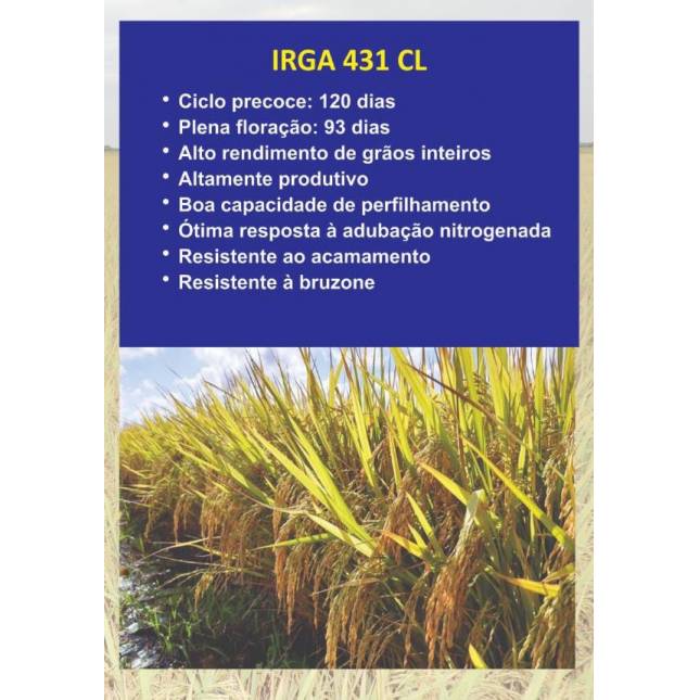 Semente IRGA 431CL